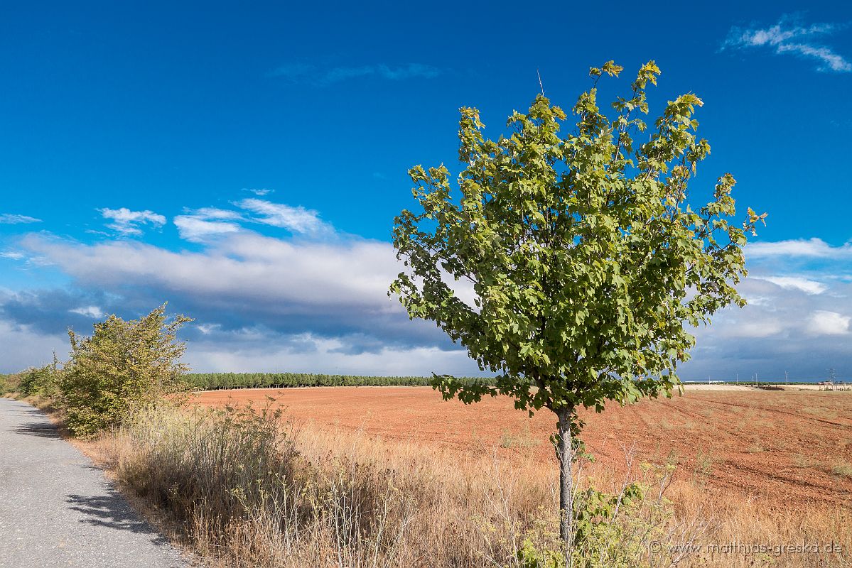 MSG_20160915103616__DSC7474.JPG - Kurz vor Astorga